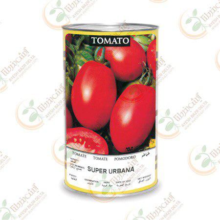 گوجه فرنگی - Super Urbana